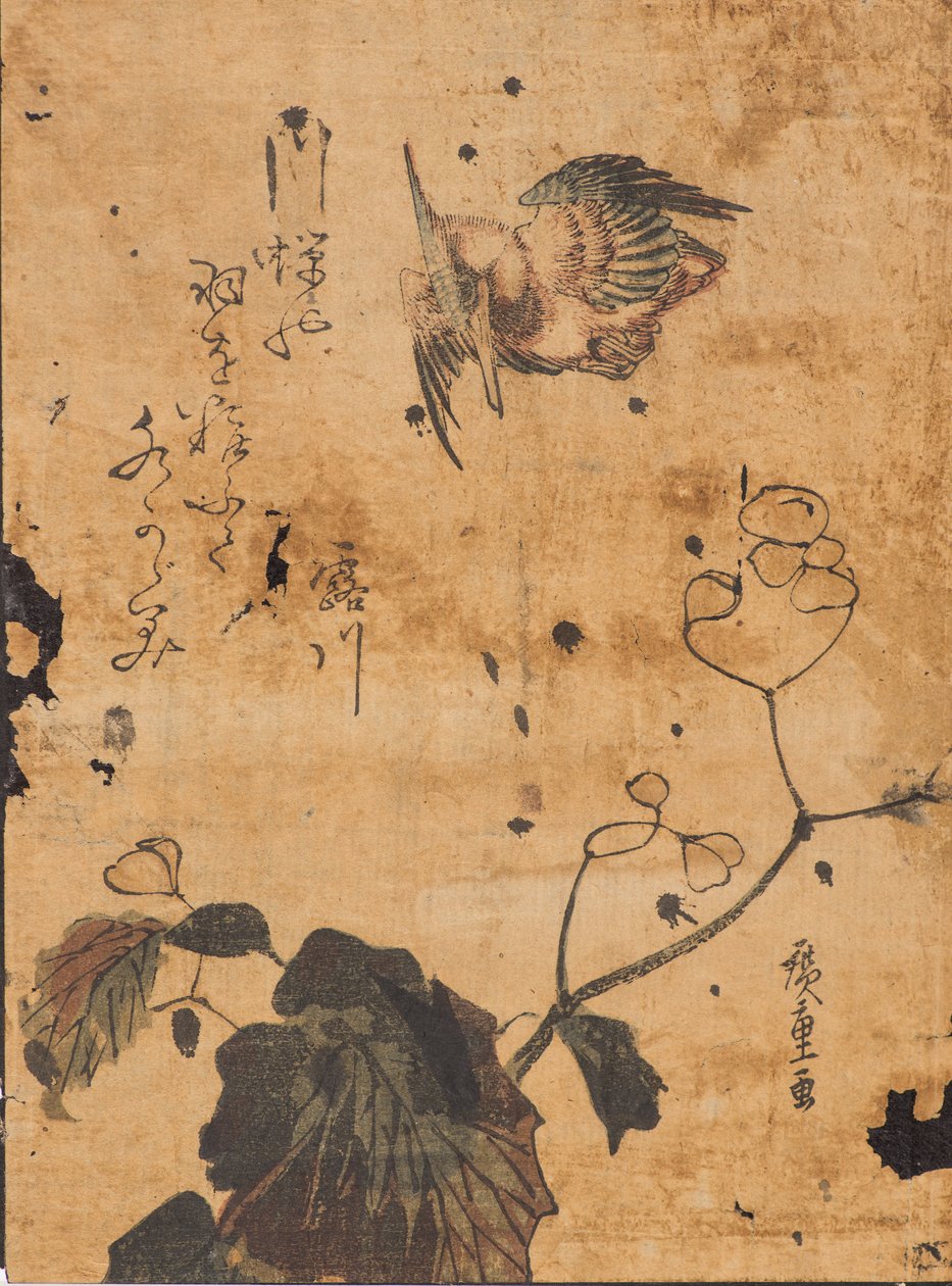 Badanie ptaków i roślin autorstwa Ando or Utagawa Hiroshige