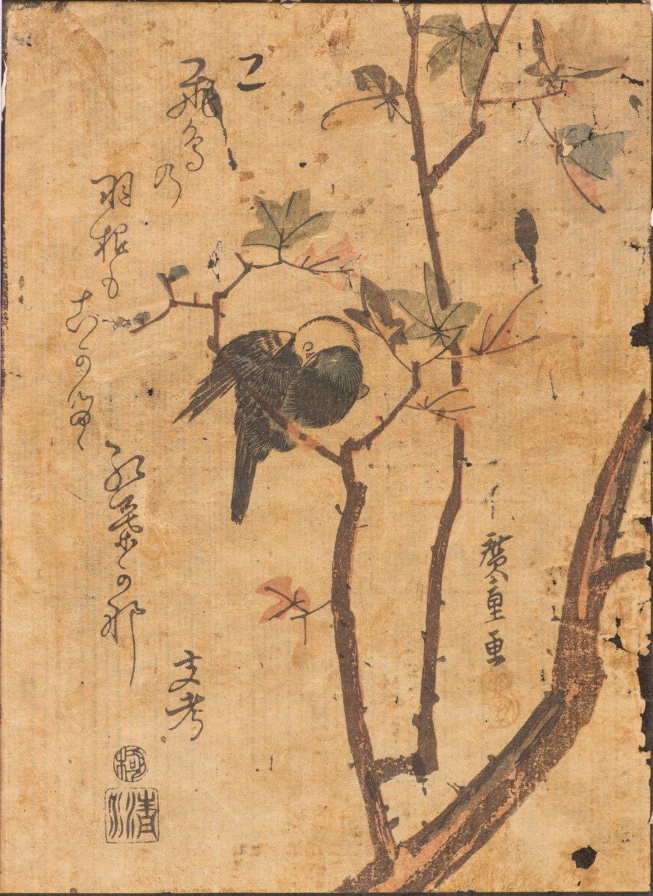 Badanie ptaka śpiącego na gałęzi autorstwa Ando or Utagawa Hiroshige