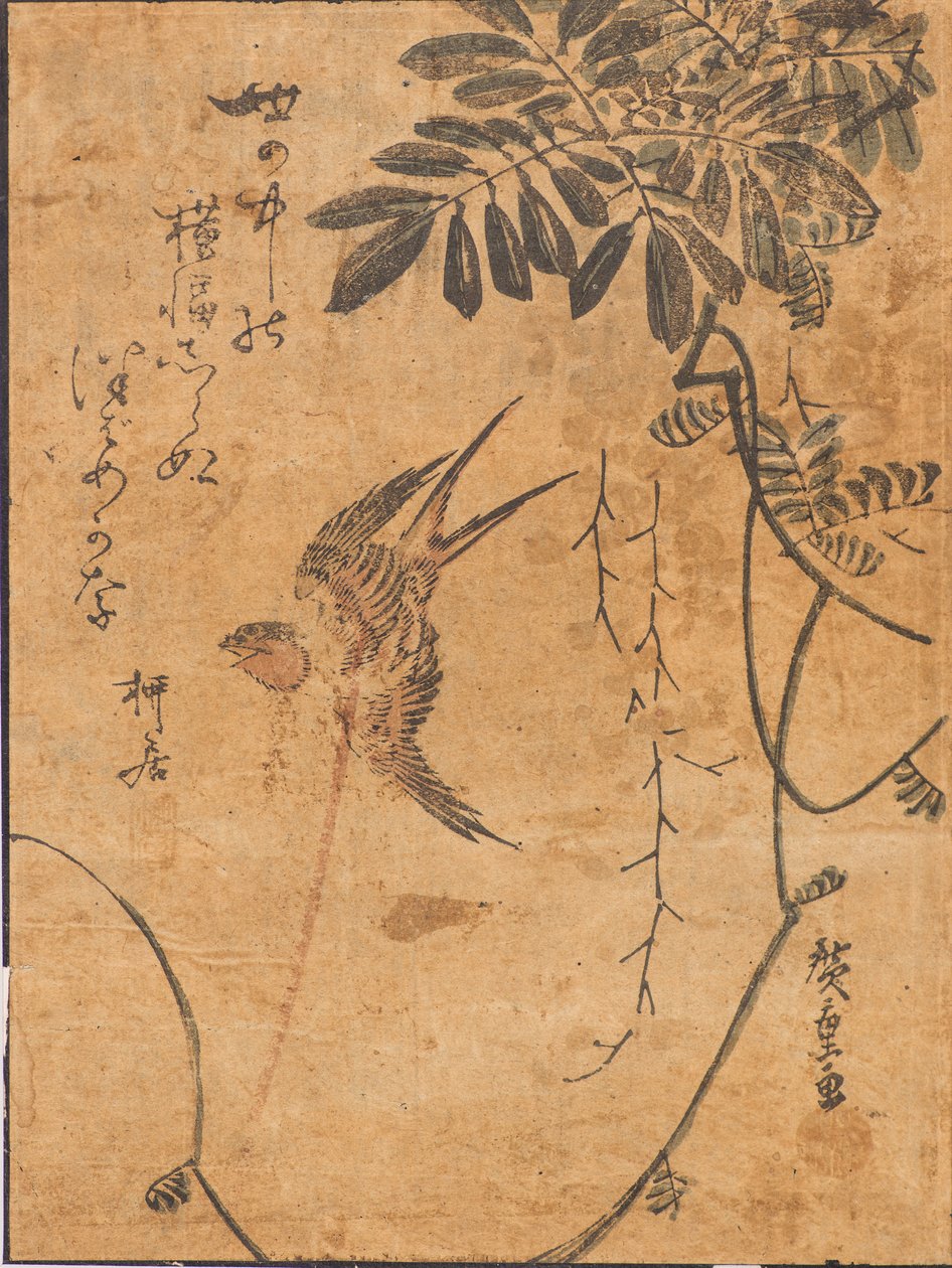 Badanie ptaków w locie i roślin autorstwa Ando or Utagawa Hiroshige
