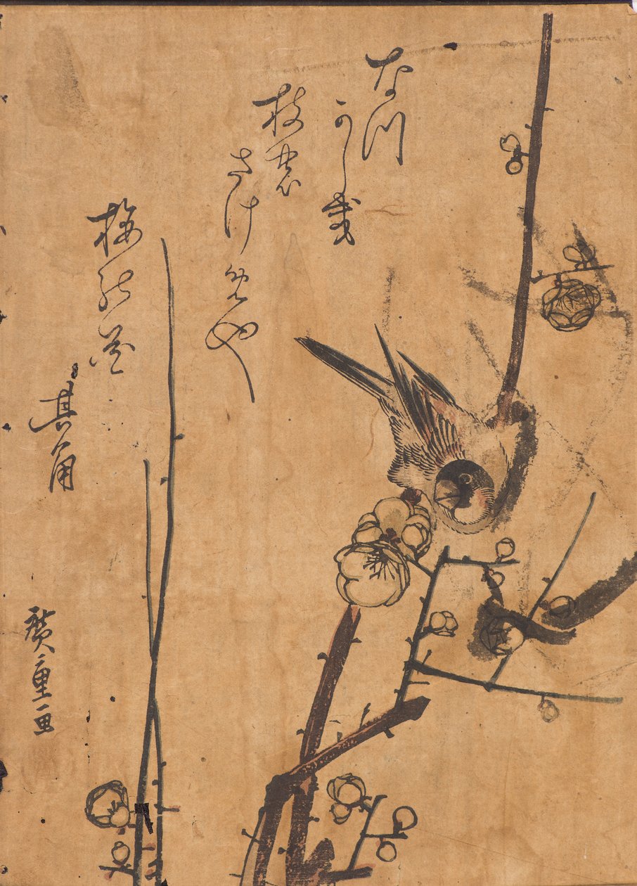 Badanie ptaka siedzącego na gałęzi autorstwa Ando or Utagawa Hiroshige