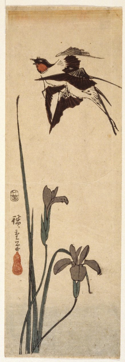 Jaskółki i Irys (drzeworyt kolorowy) autorstwa Ando or Utagawa Hiroshige