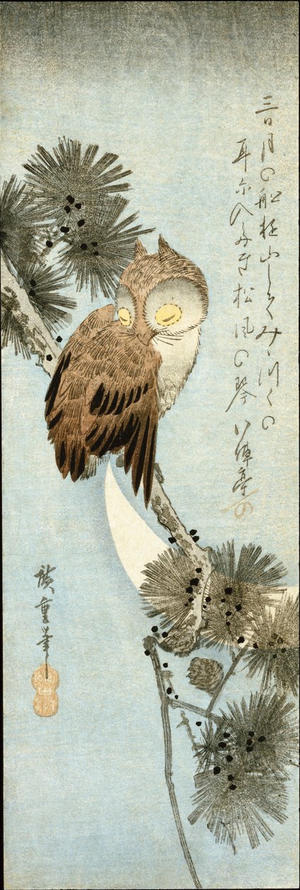Półksiężyc i sowa siedzące na gałęziach sosny autorstwa Ando or Utagawa Hiroshige