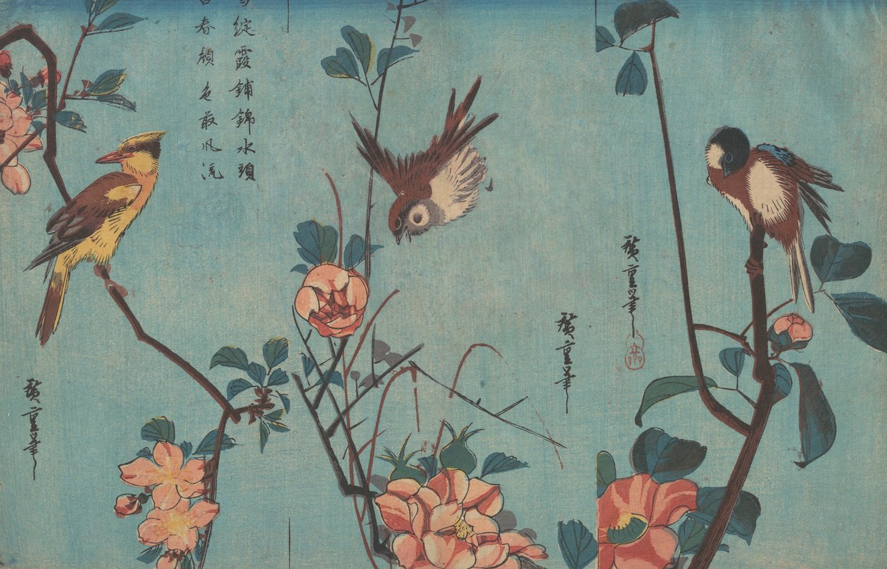 Sikorki i kamelie, wróbel i dzikie róże i wilga czarnowłosa i kwiaty wiśni, ok. 1833 (drewnodruk) autorstwa Ando or Utagawa Hiroshige