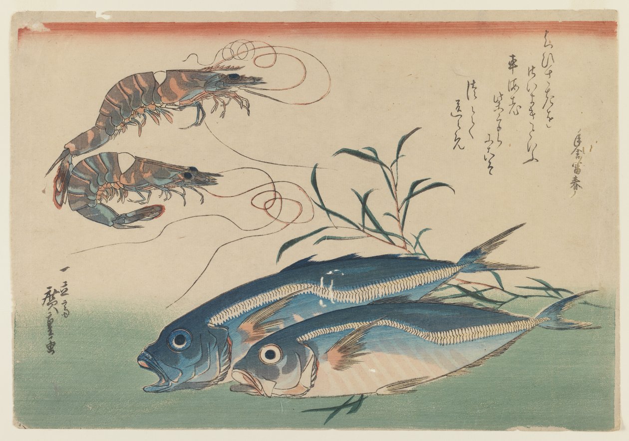 Dwie krewetki z dwoma ostrobokami, ok. 1832-33 (kolorowy blok drewna na papierze) autorstwa Ando or Utagawa Hiroshige