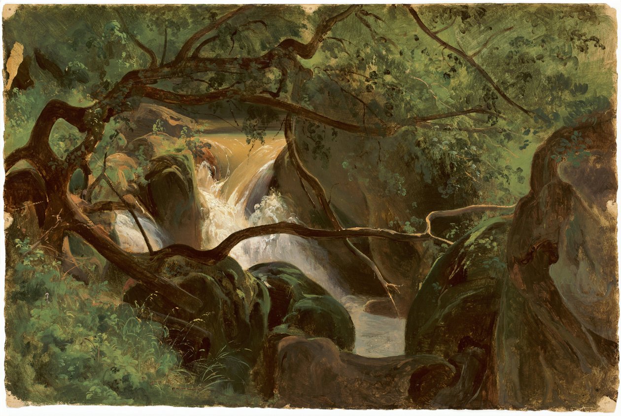 Wnętrze lasu z wodospadem, Papigno, 18251830. autorstwa André Giroux