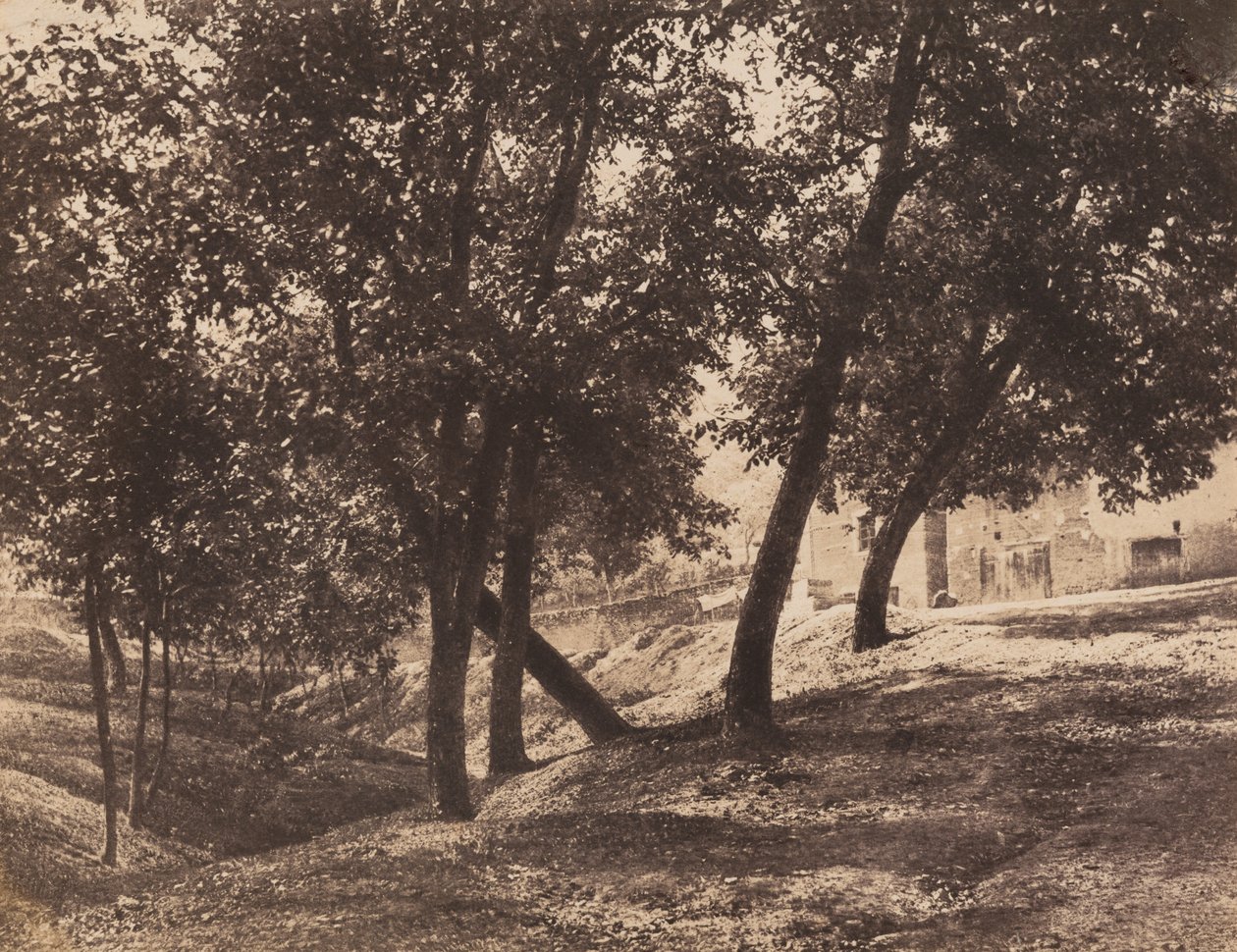 Drzewa, ok. 1855. autorstwa André Giroux
