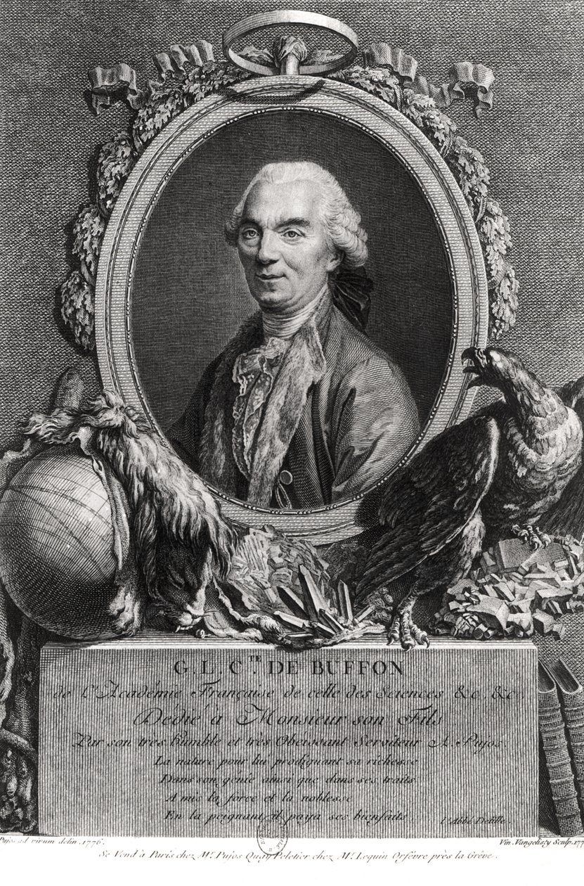 Georges-Louis Leclerc (1707-88) hrabia Buffon, ryty Vincenzio Vangelisti (1738-98) 1777 autorstwa Andre Pujos