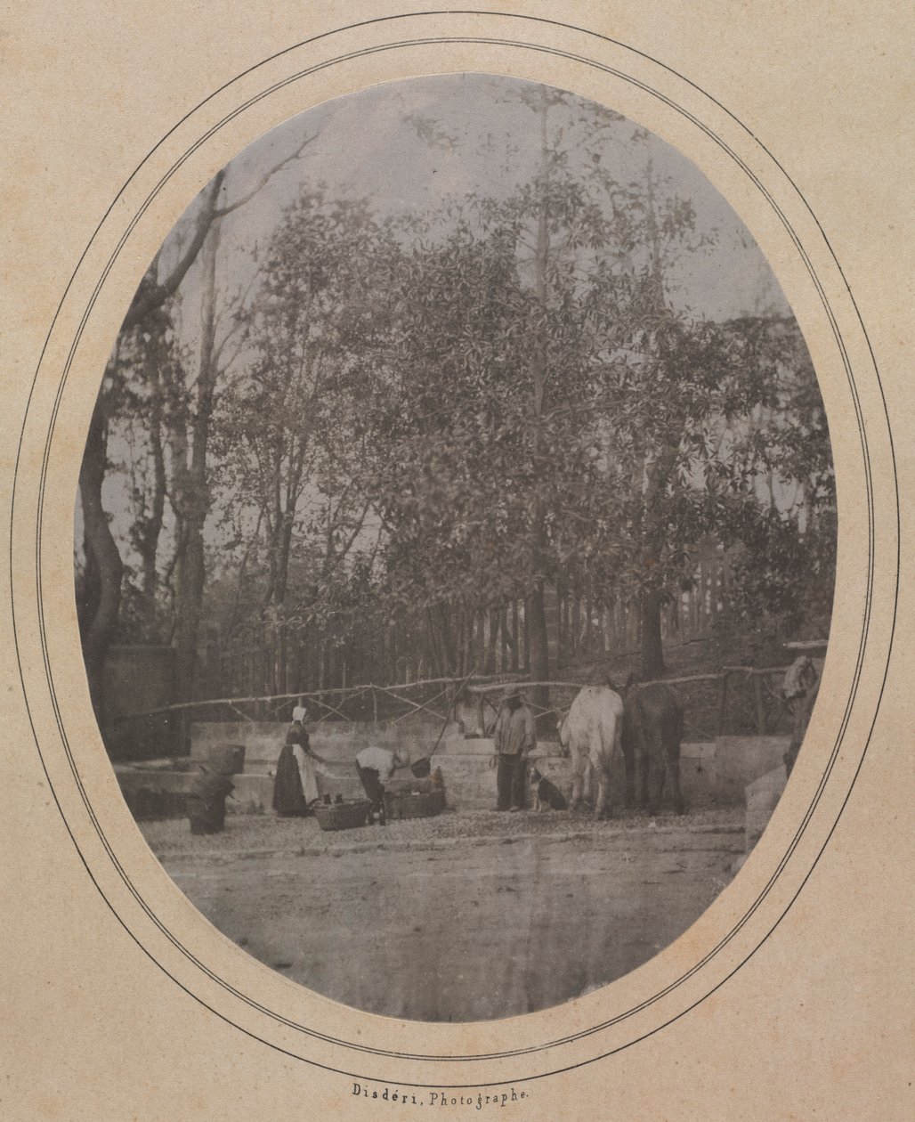 Scena wiejska Południowa Francja, ok. 1930 r. 1853. autorstwa Andre Adolphe Eugene Disderi