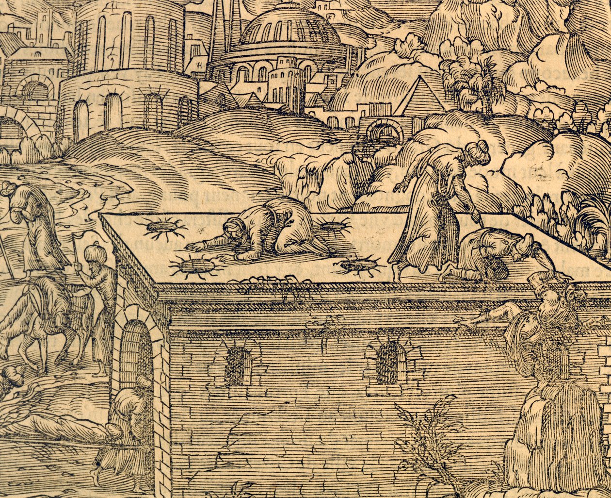 Chrześcijański cmentarz w Acheldemach, rycina z Cosmographie universelle, Andre Thevet (1504-1592), Paryż autorstwa Andre Thevet
