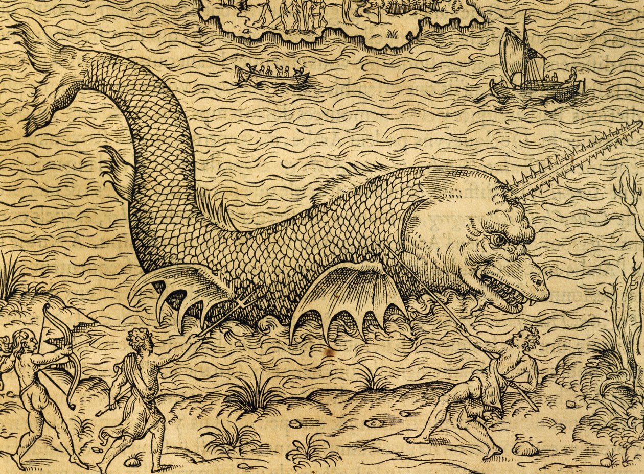 Potwór morski, rycina z Uniwersalnej kosmologii, Andre Thevet (1504-1592), Paryż autorstwa Andre Thevet