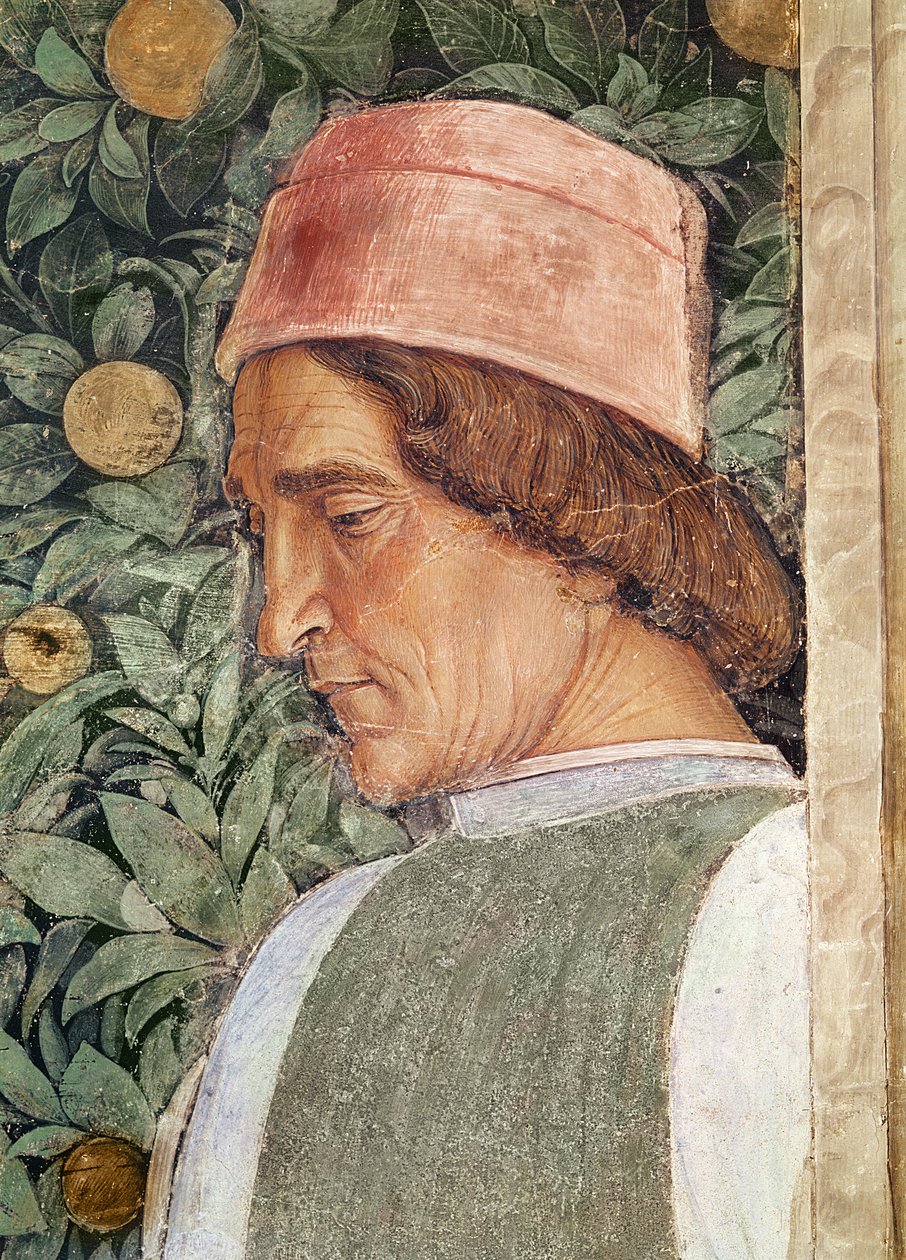 Szczegół głowy pana młodego, z Camera degli Sposi lub Camera Picta, 1465-74 autorstwa Andrea Mantegna
