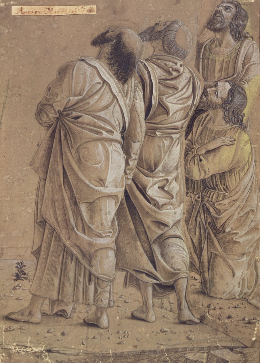 Grupa apostołów z obrazu Wniebowstąpienie Chrystusa, ok. 1506 (tusz, brązowa farba) autorstwa Andrea Mantegna