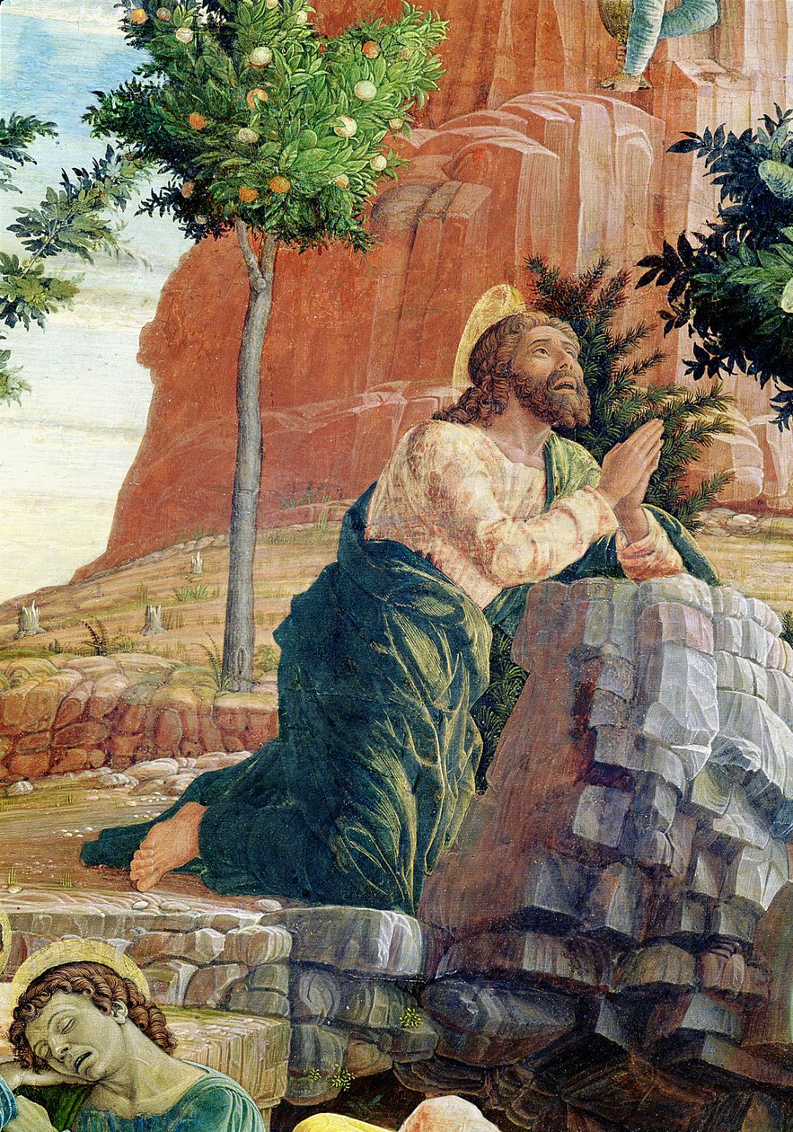 Agonia w ogrodzie, lewa predella panel z ołtarza św. Zenona z Werony, 1456-60 (detal z 214241) autorstwa Andrea Mantegna
