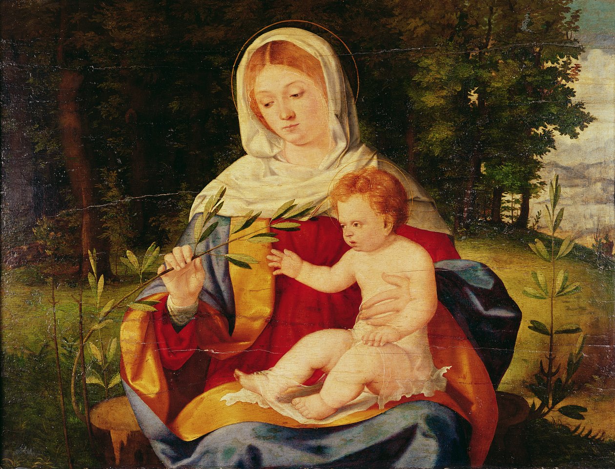 Dziewica z Dzieciątkiem z pędem oliwki, ok. 1515 (olej na drewnie) autorstwa Andrea Previtali