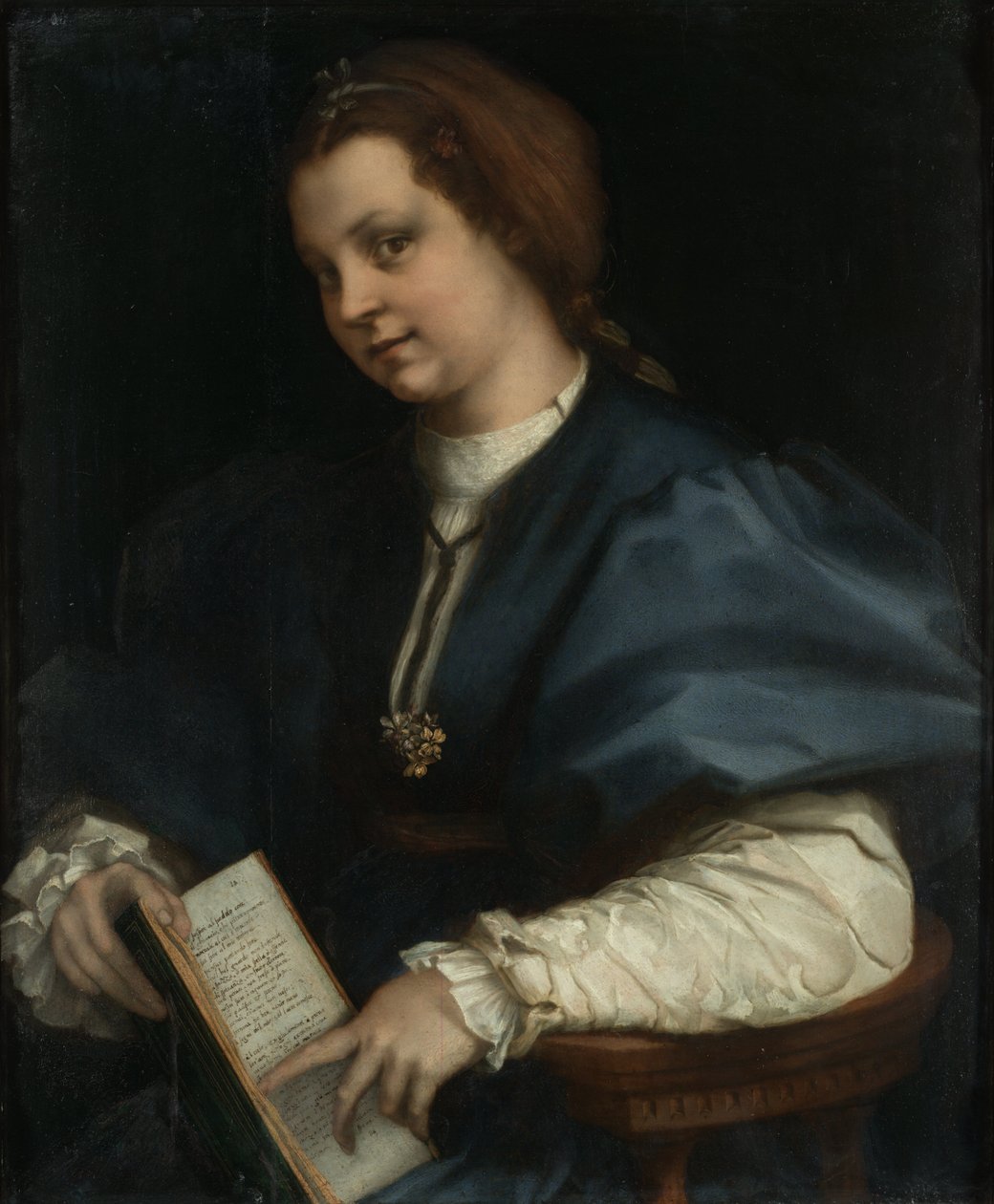 Dama Col autorstwa Andrea del Sarto