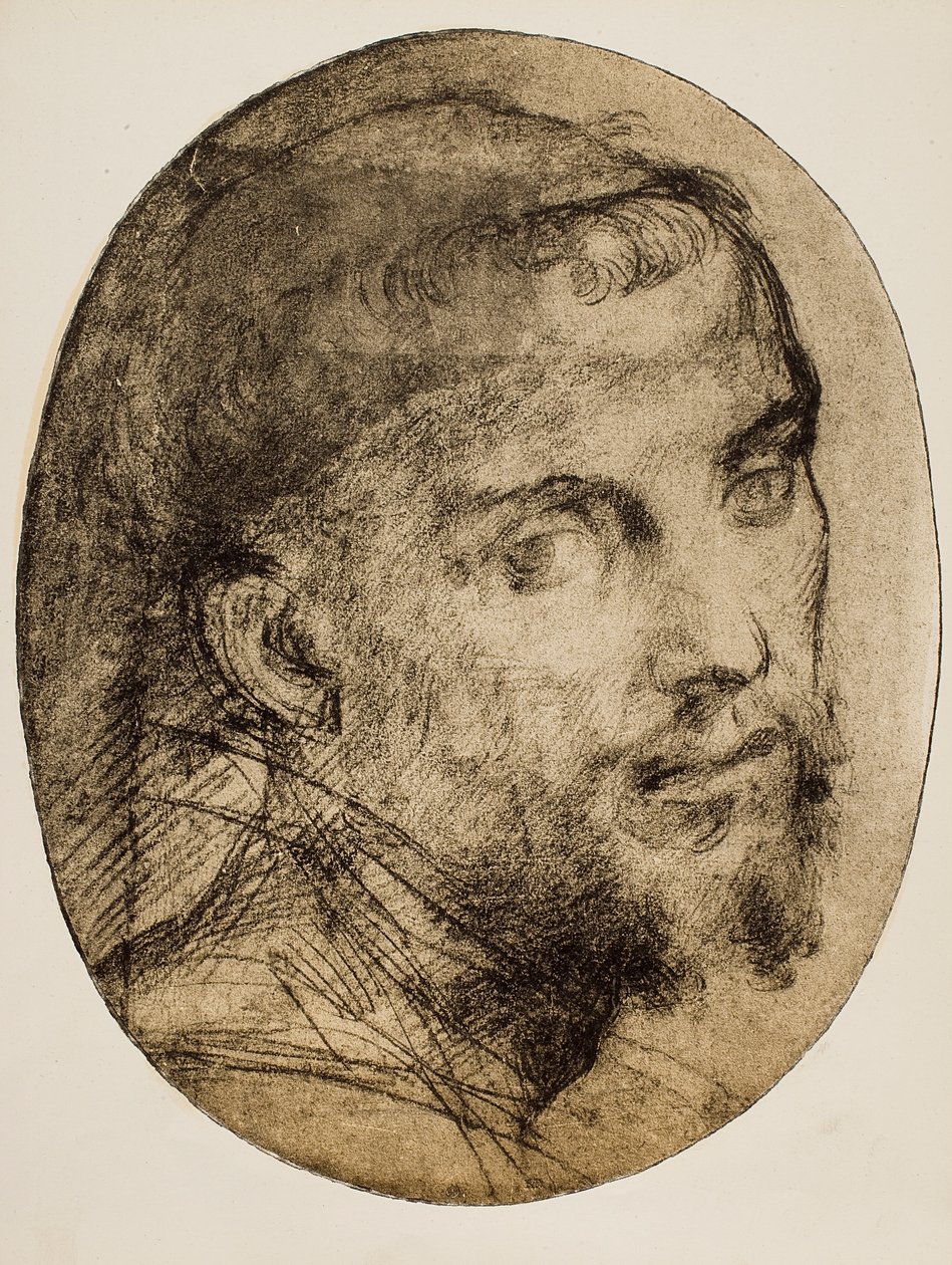 Studium do portretu religijnego autorstwa Andrea del Sarto