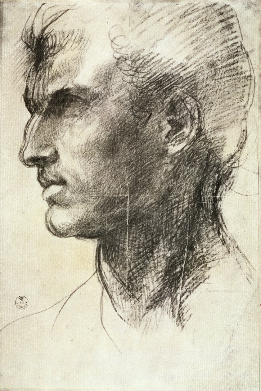 Studium męskiej głowy (węgiel na papierze) autorstwa Andrea del Sarto