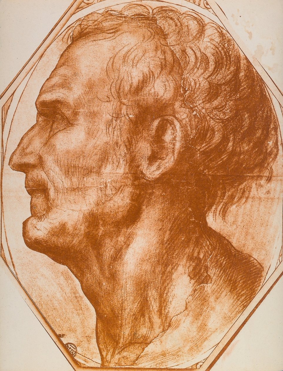 Studium głowy mężczyzny; rysunek autorstwa Andrea del Sarto