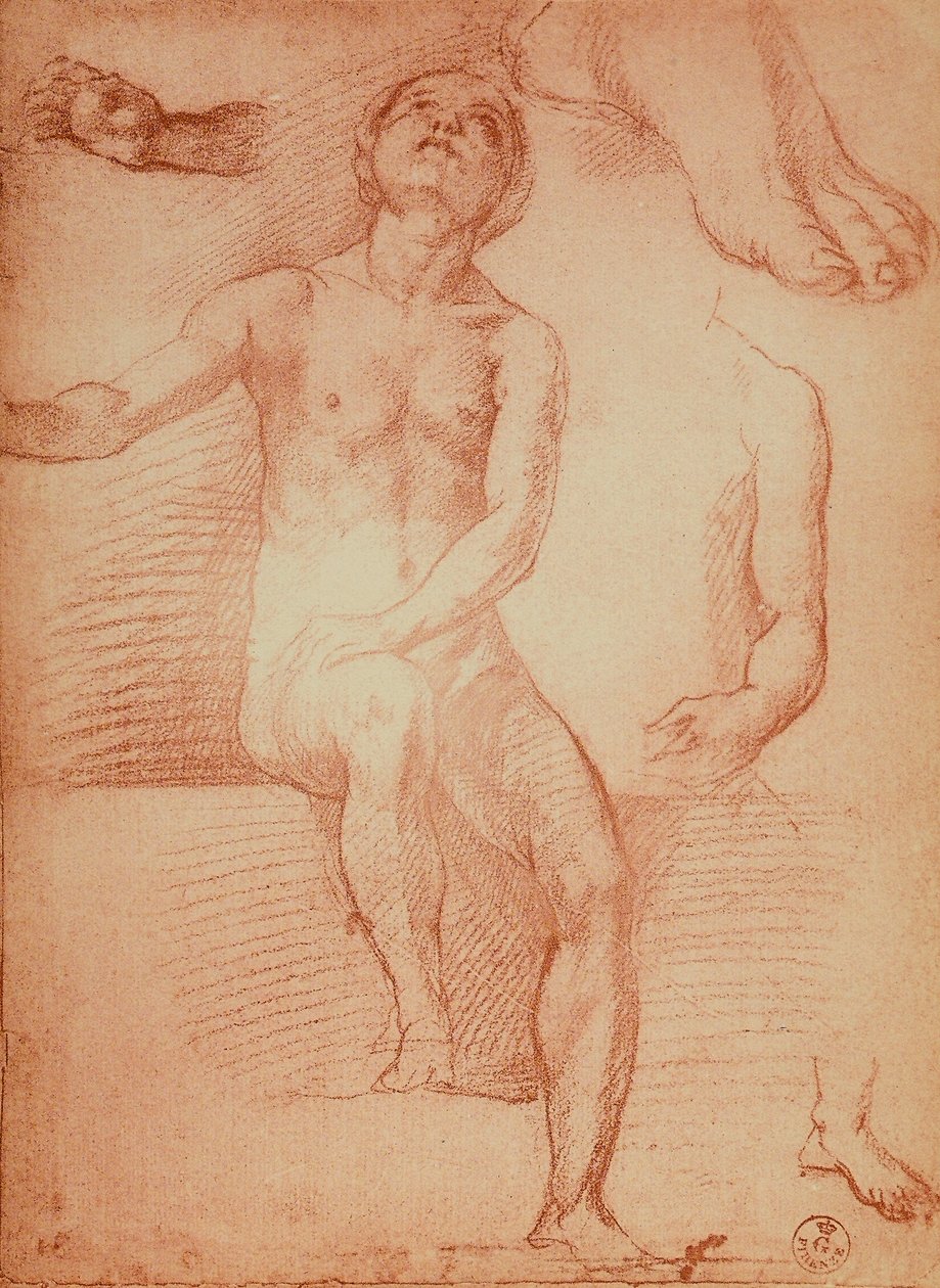 Studium nagiej postaci i kończyn ludzkich, rysunek Andrea del Sarto. Gabinet dei Disegni e delle Stampe, Galeria Uffizi, Florencja autorstwa Andrea del Sarto