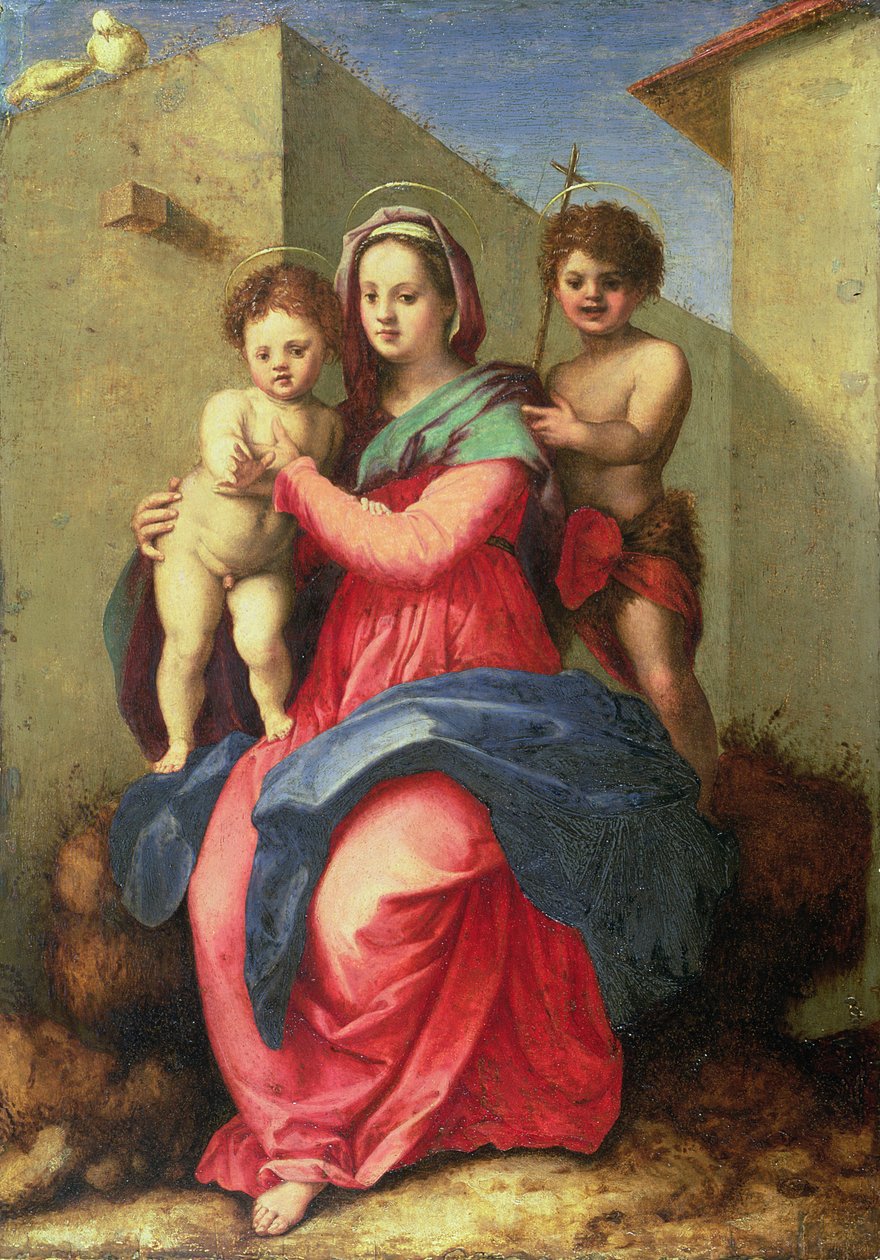 Madonna z Dzieciątkiem z Dzieciątkiem Św. Jan (panel) autorstwa Andrea del Sarto