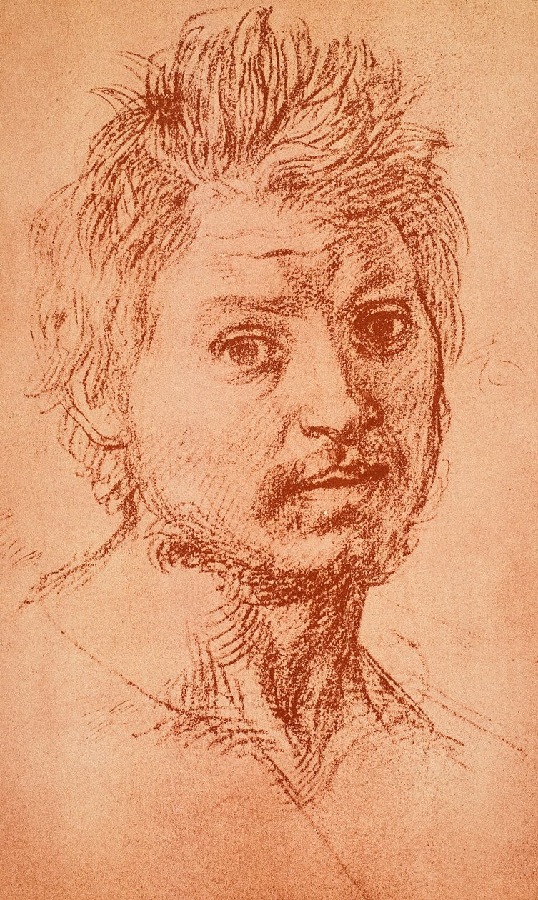 Wirtuozerska głowa autorstwa Andrea del Sarto