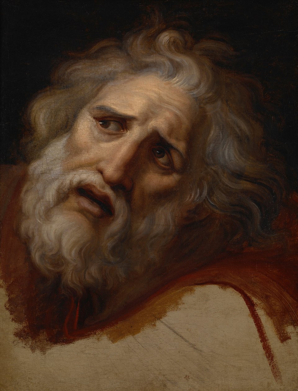 Szef Laokoona autorstwa Andrea the Elder Appiani