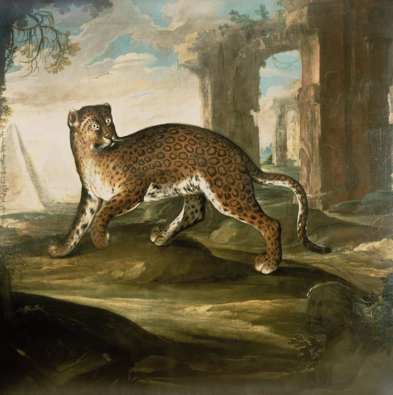 A Jaguar autorstwa Andrea the Elder Scacciati