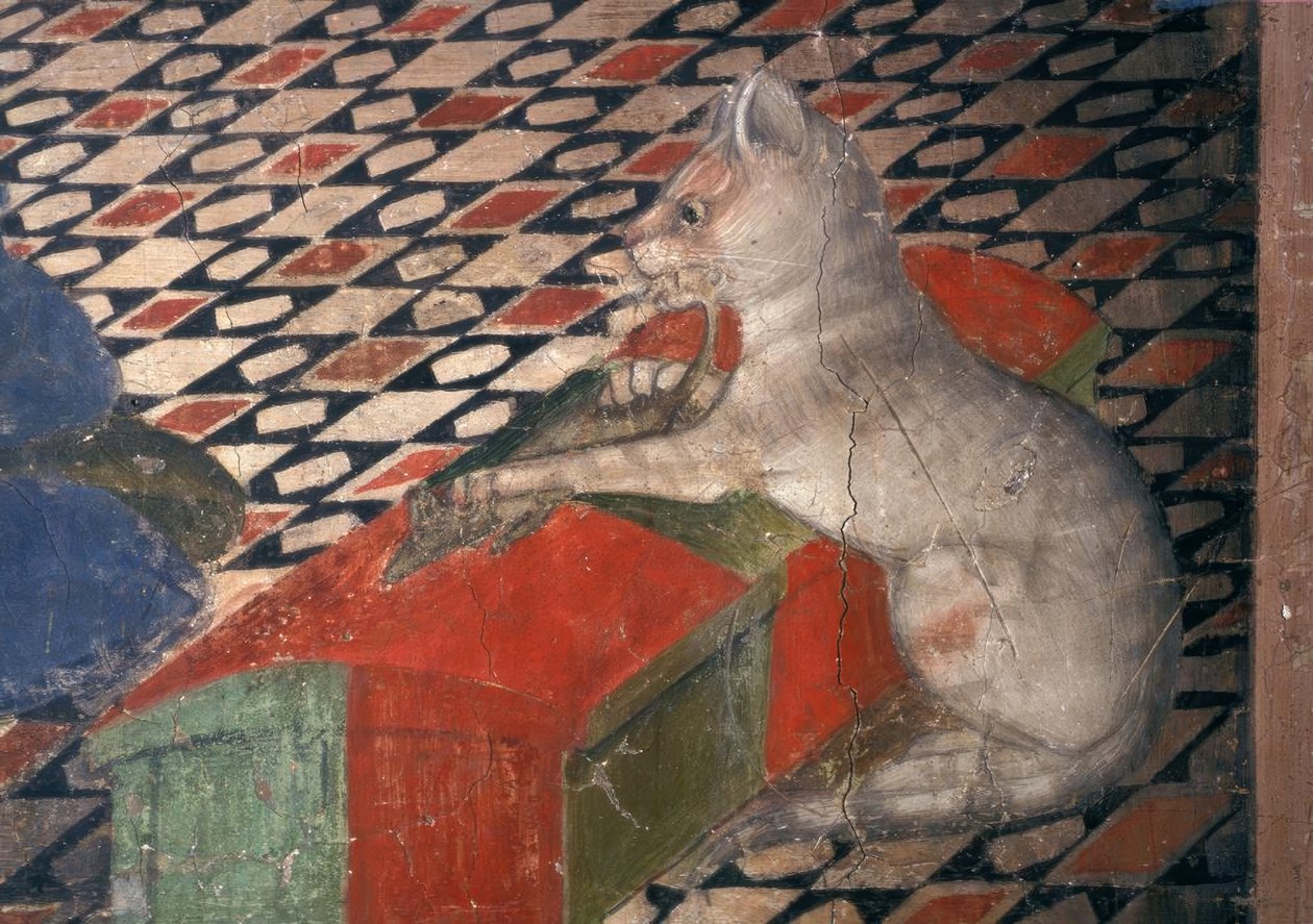 Atri, katedra, kot / A.Delitio autorstwa Andrea Delitio