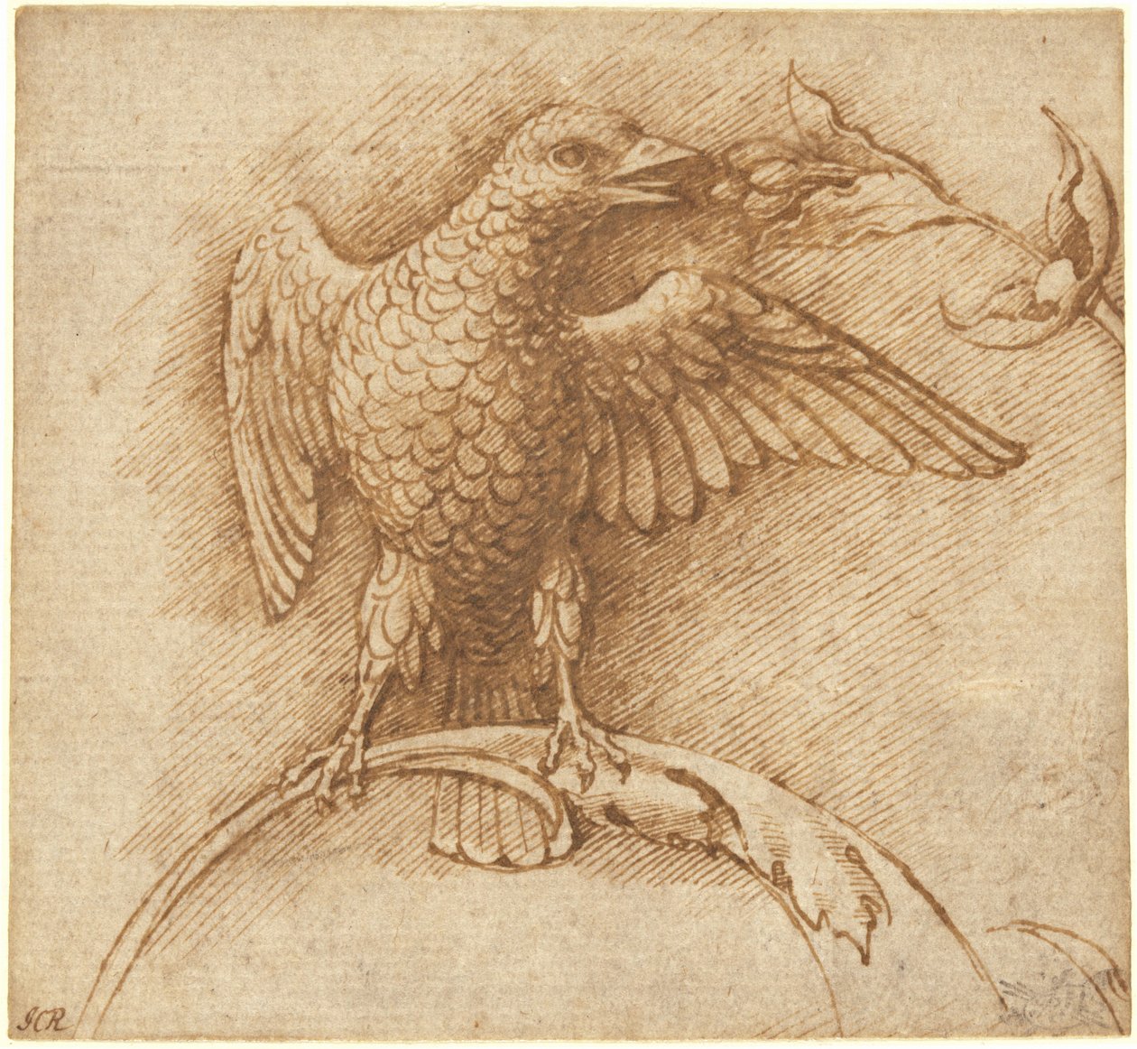 Ptak siedzący na gałęzi z owocami autorstwa Andrea Mantegna