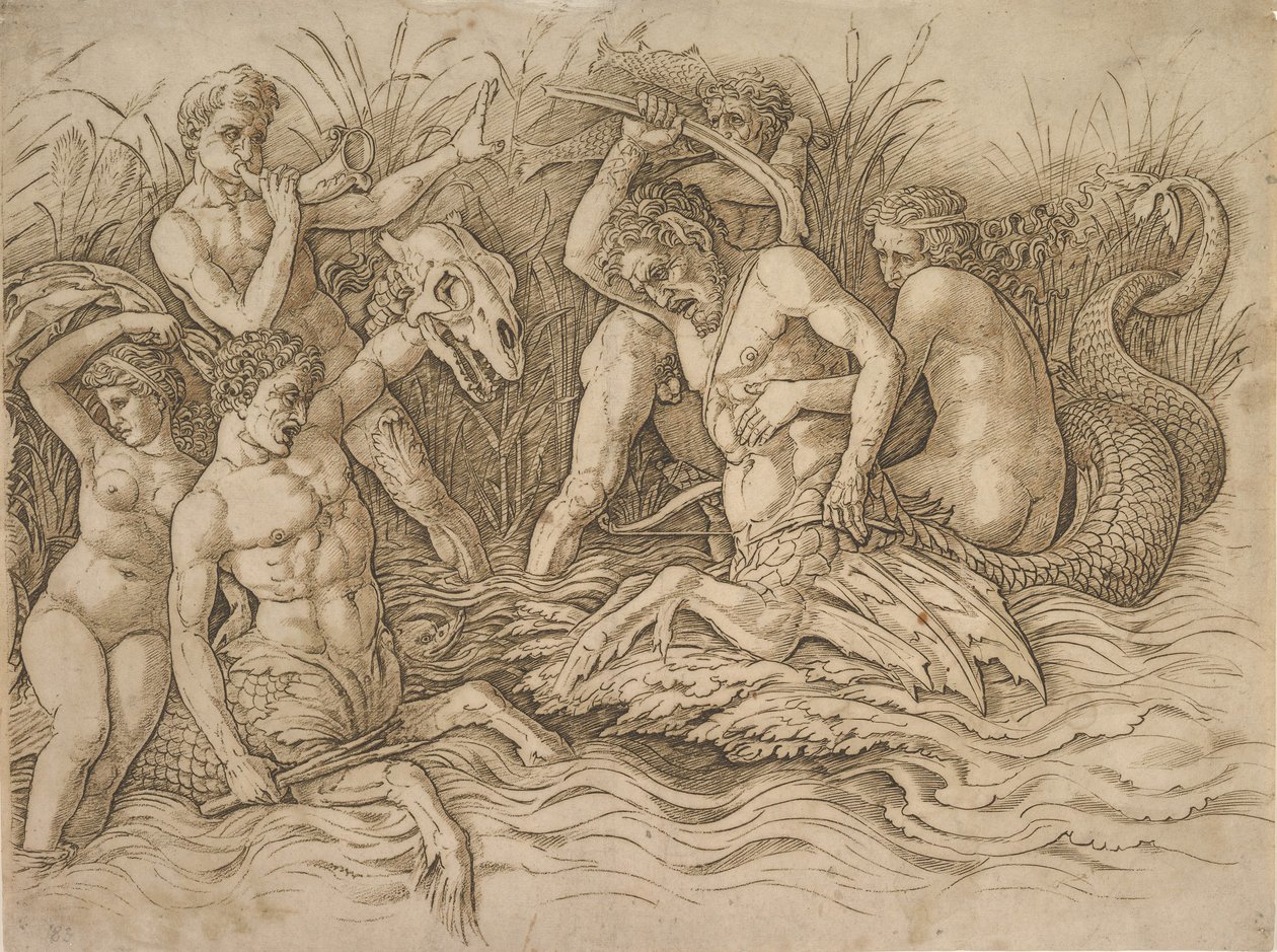 Bitwa bogów morza prawa połowa, ca. 1485-88. autorstwa Andrea Mantegna