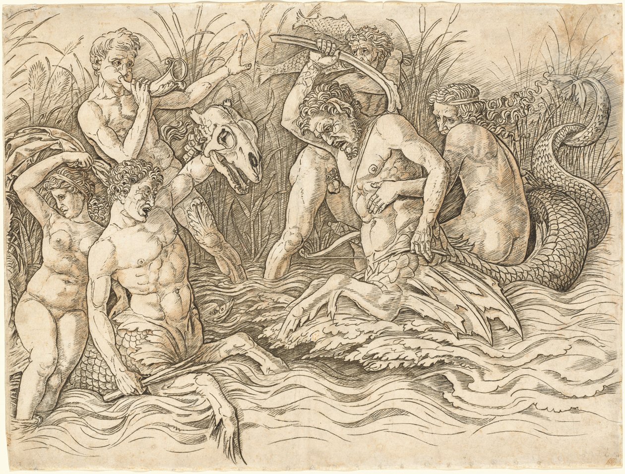 Bitwa Bogów Morskich [prawa połowa] autorstwa Andrea Mantegna