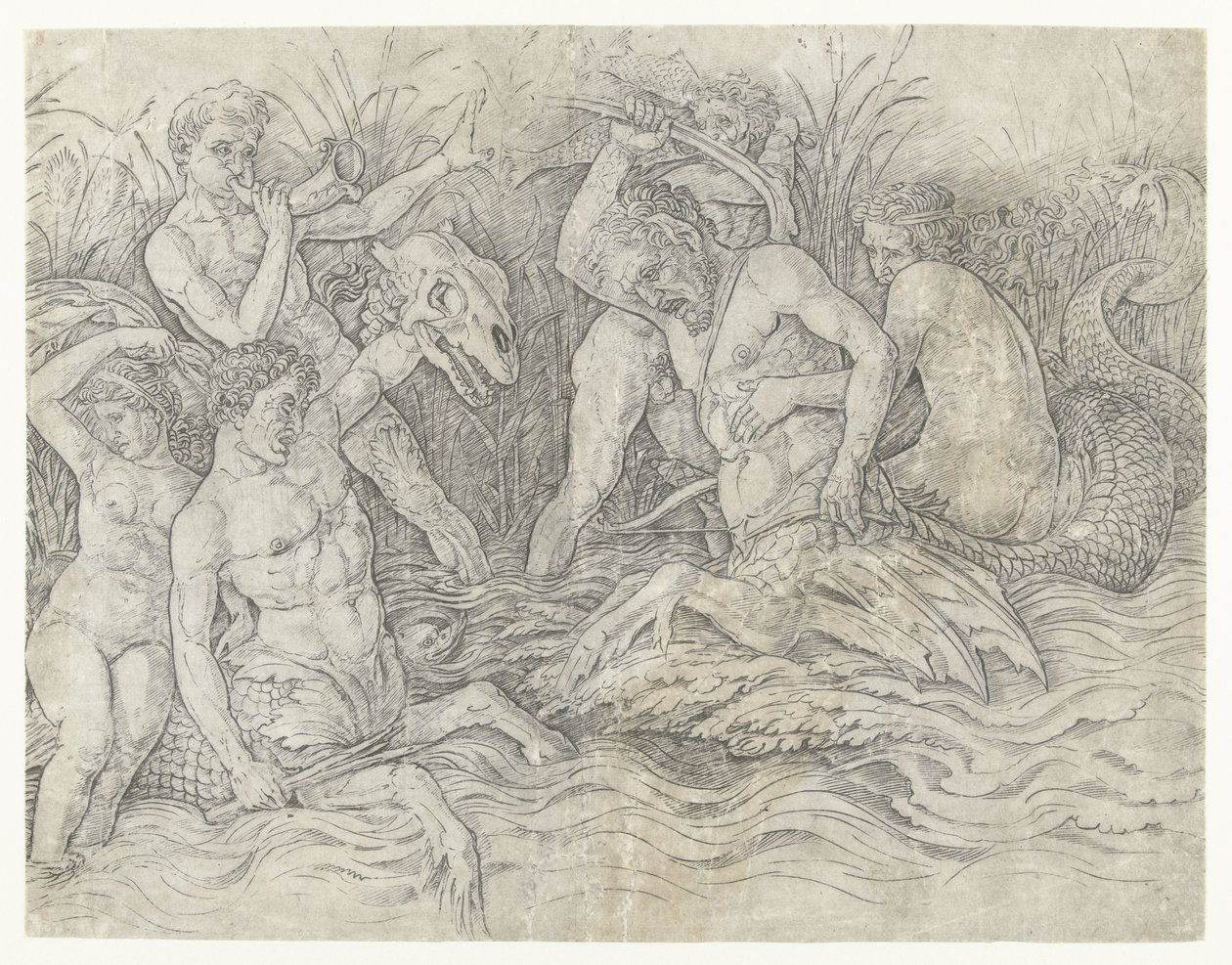 Bitwa między trytonami z nereidami na plecach Bitwa Bogów Morskich autorstwa Andrea Mantegna