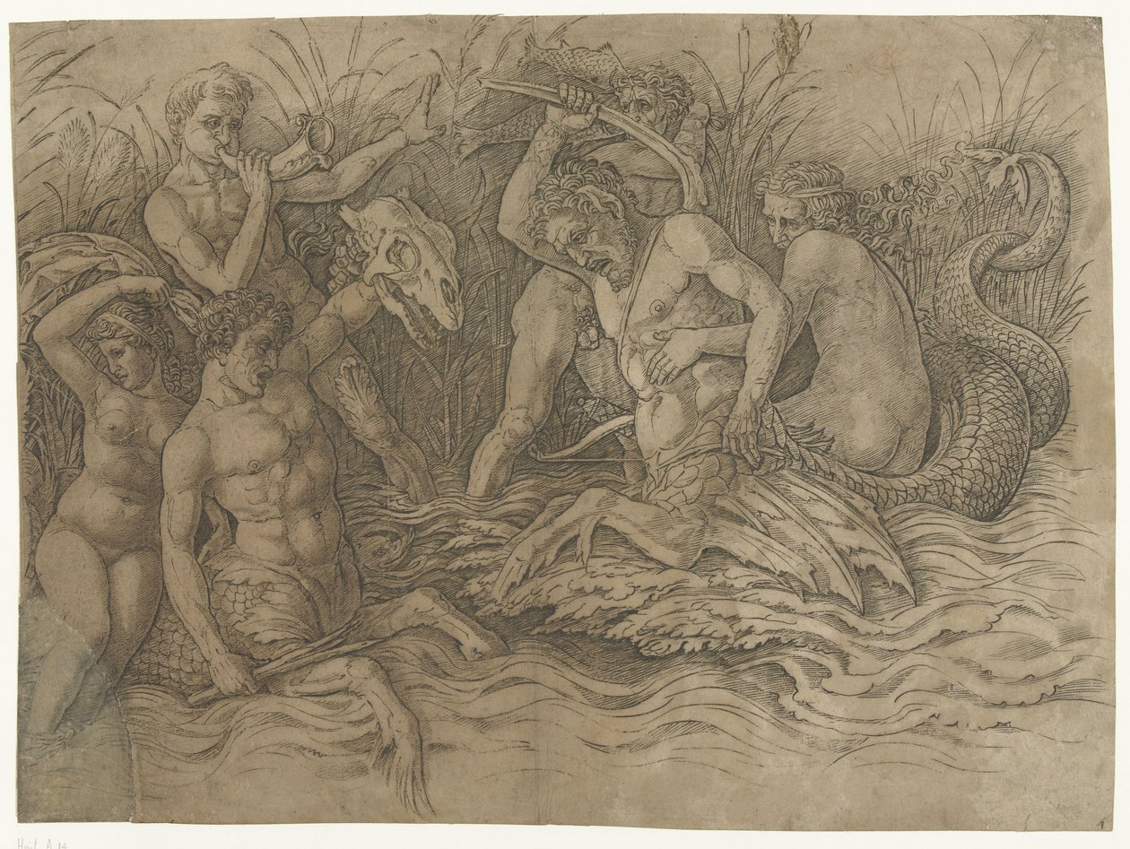 Bitwa między trytonami z nereidami na plecach Bitwa Bogów Morskich autorstwa Andrea Mantegna