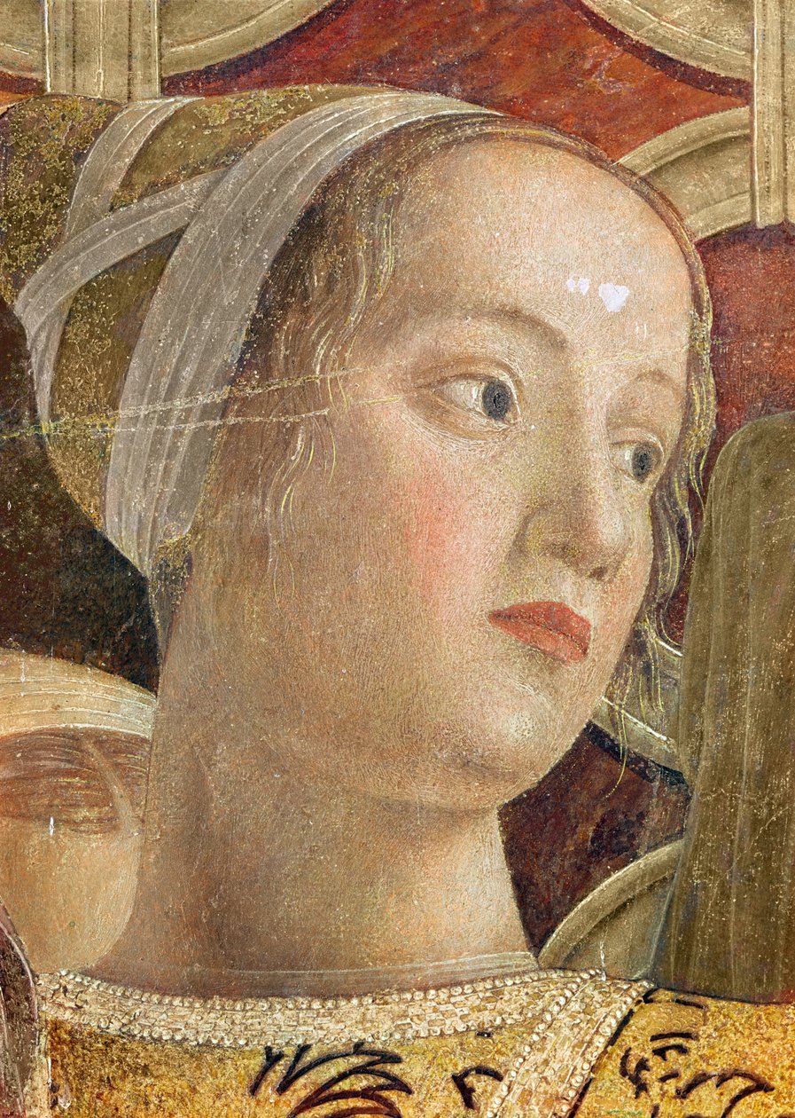 Głowa kobiety, fragment markiza Ludwika III Gonzagi i jego dworu w Camera degli Sposi, ok. 1465-75 (detal z 166336) autorstwa Andrea Mantegna