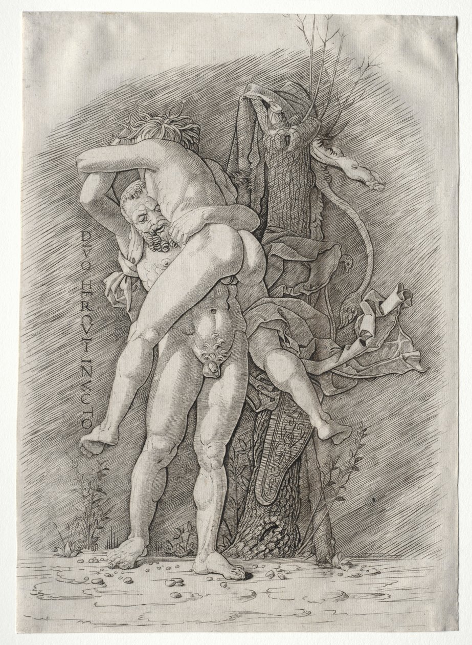 Herkules i Antaeus, 1400. autorstwa Andrea Mantegna