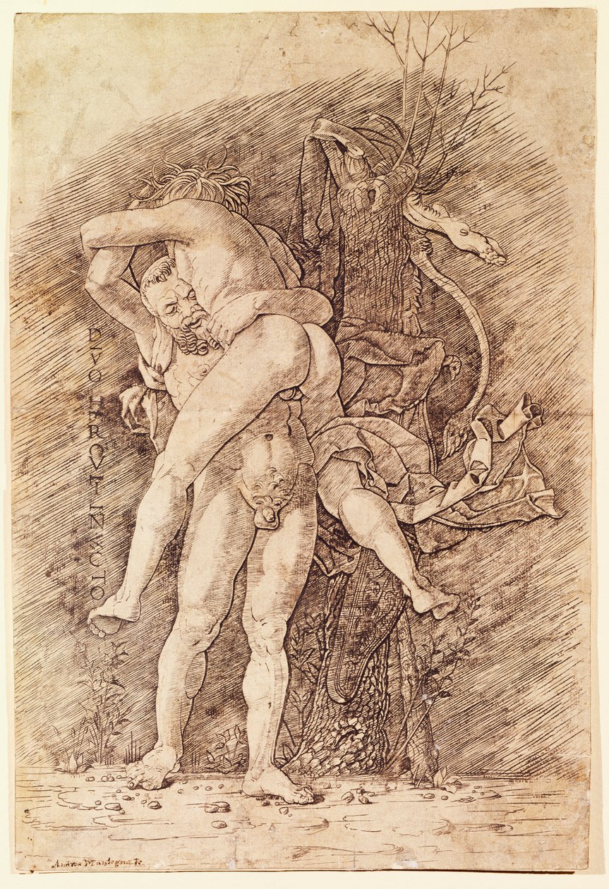 Herkules i Antaeus, Andrea Mantegna (1431-1506), rysunek. autorstwa Andrea Mantegna