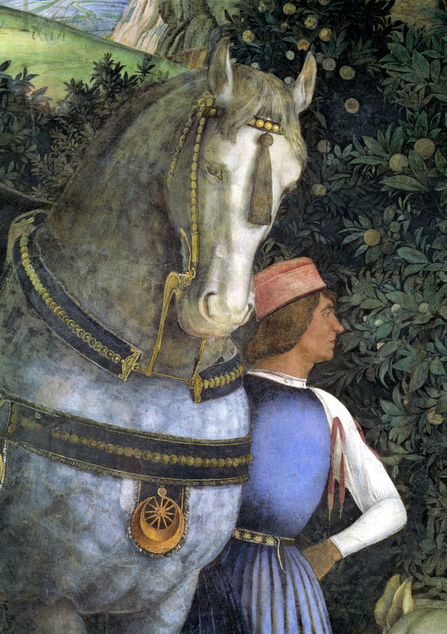 Koń i pan młody, z Camera degli Sposi lub Camera Picta, detal fresku z lat 1465-74 z 78449 autorstwa Andrea Mantegna
