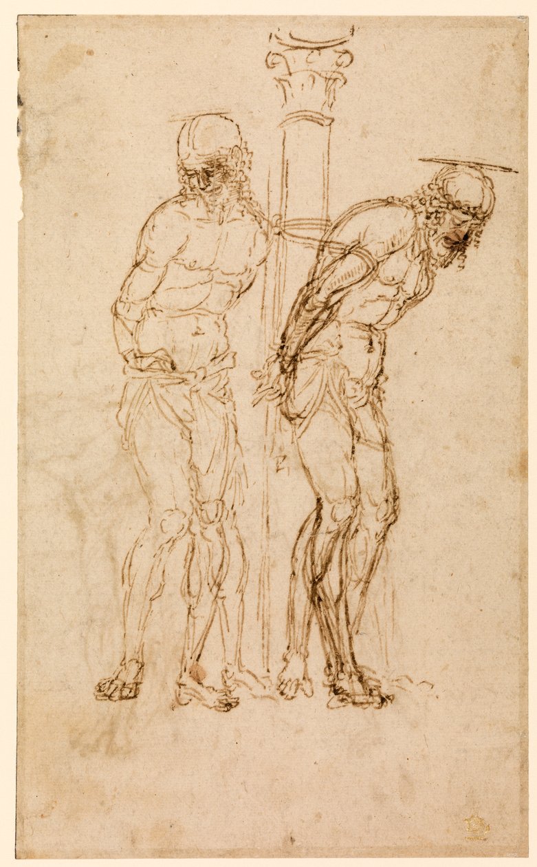 Studia dla Chrystusa w kolumnie (recto), ok. 1460-65 (pióro i atrament na papierze) [zob. też 5934516] autorstwa Andrea Mantegna
