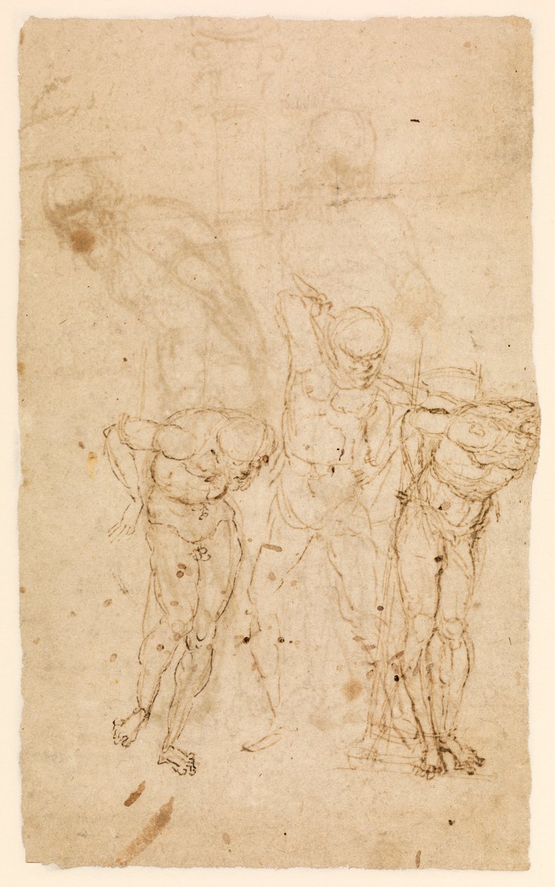 Studia dla Chrystusa w kolumnie (verso), ok. 1460-65 (pióro i atrament na papierze) [zob. również 5934515] autorstwa Andrea Mantegna