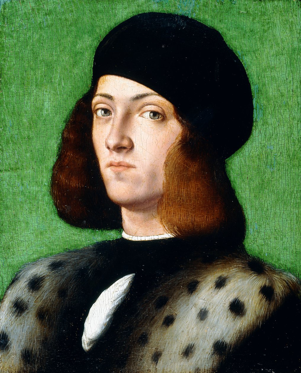 Portret młodego dżentelmena, do biustu, w czarnej czapce i czarnym płaszczu, 1506 autorstwa Andrea Previtali