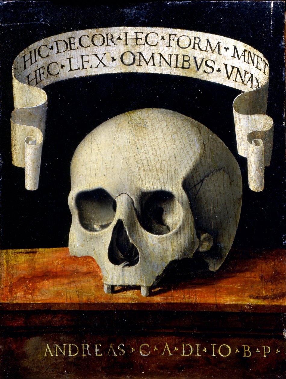 Portret mężczyzny - Memento Mori autorstwa Andrea Previtali called Cordeliaghi
