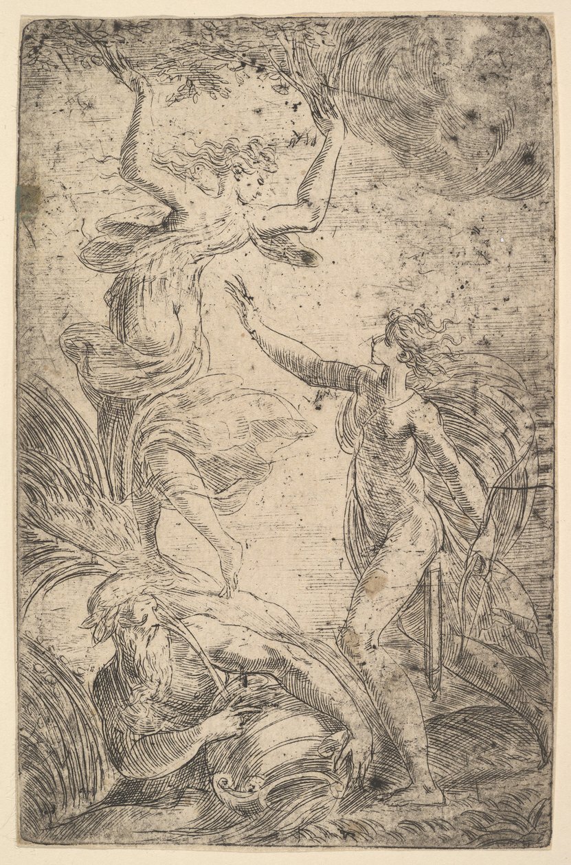 Apollo po prawej trzymający łuk goni Daphne po lewej, ca. 1538-40. autorstwa Andrea Schiavone