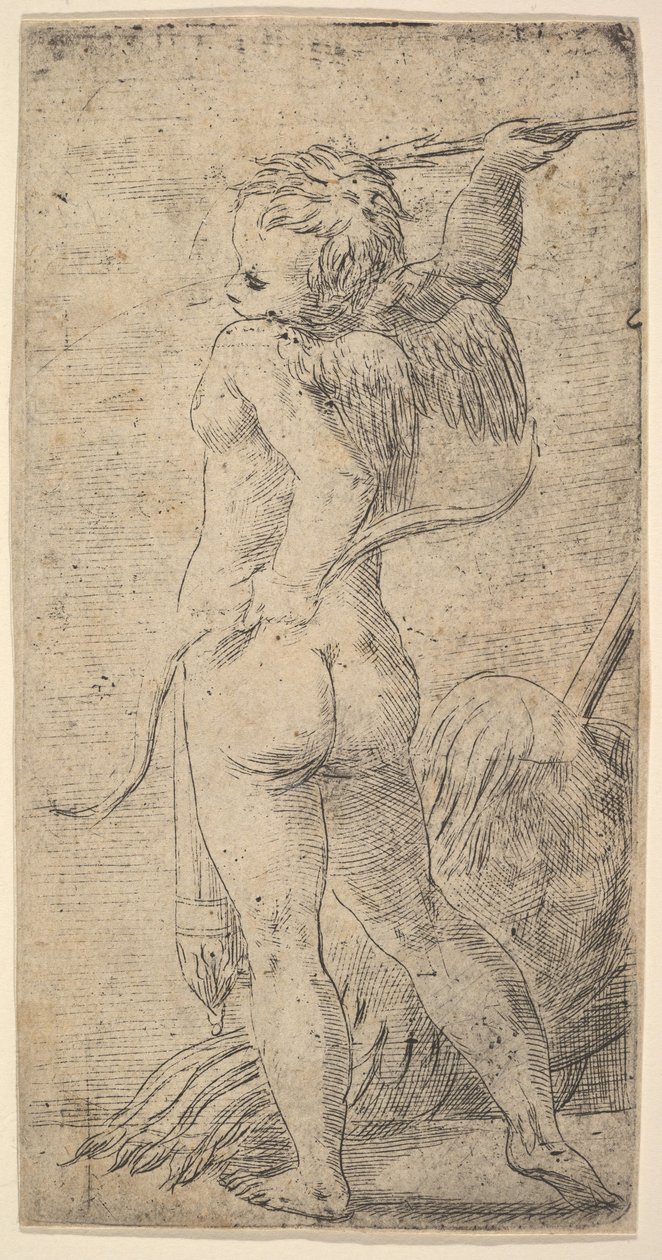 Kupidyn oglądany od tyłu ze strzałą w uniesionej prawej ręce, ca. 1543-45. autorstwa Andrea Schiavone