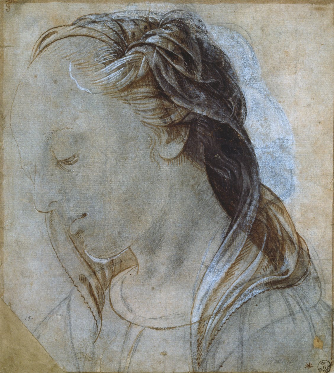 Głowa kobiety (rysunek) autorstwa Andrea Verrocchio