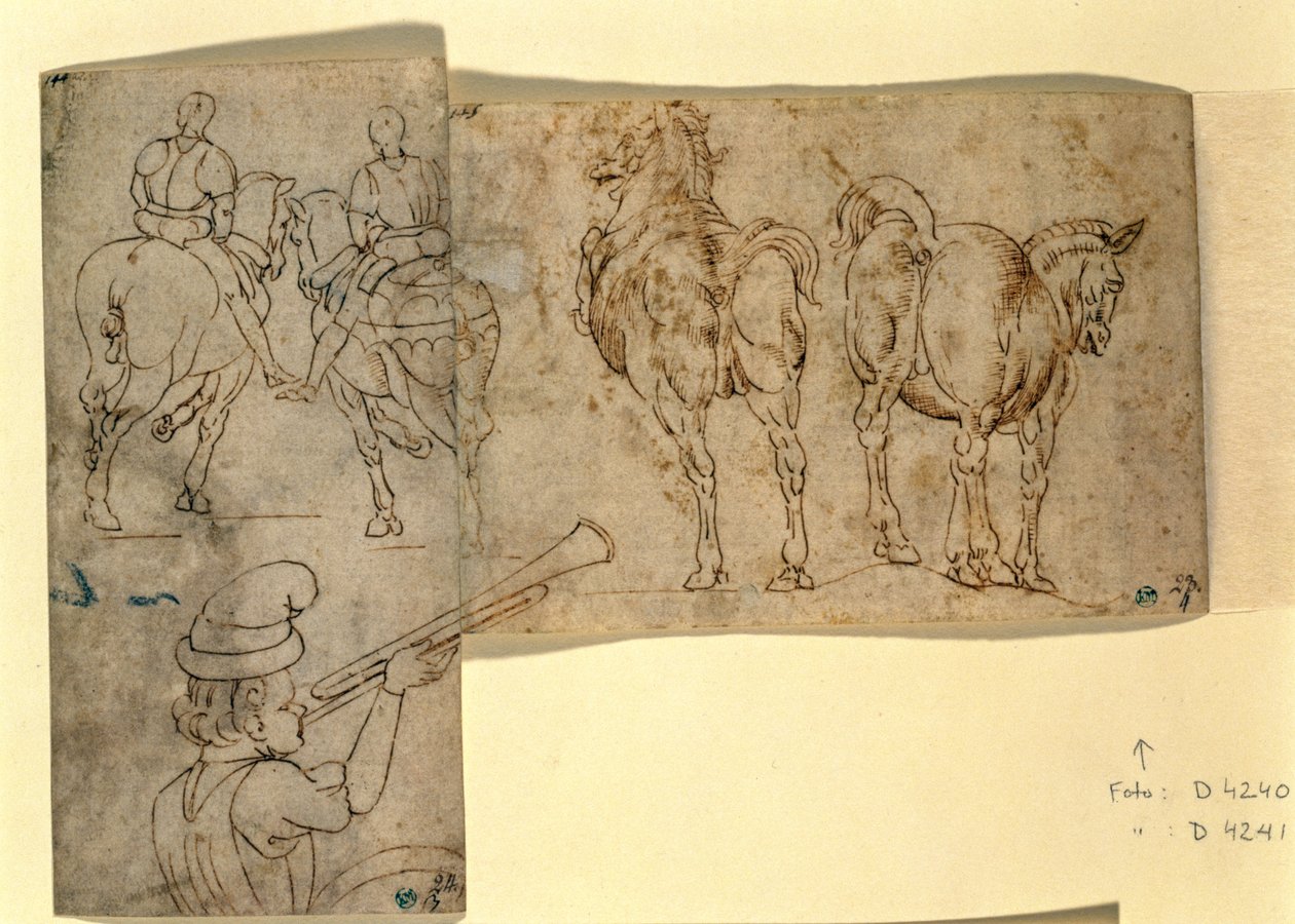Inw. nr 38 recto Szkic koni, ok. godz. 1460-70 (pióro i atrament) autorstwa Andrea Verrocchio