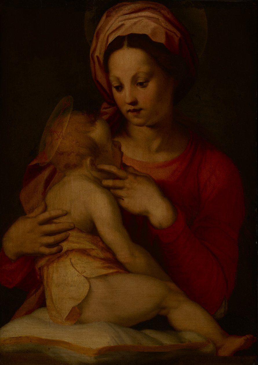 Madonna z Dzieciątkiem (olej na panelu) autorstwa Andrea del (attr.to) Sarto