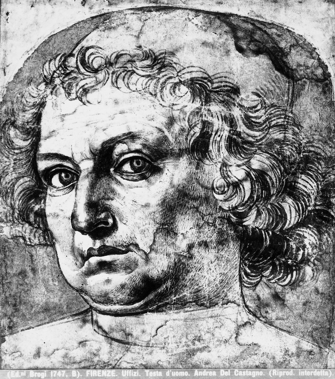 Głowa mężczyzny, czyli portret Andrei del Verrocchio, ok. 1450 autorstwa Andrea del Castagno