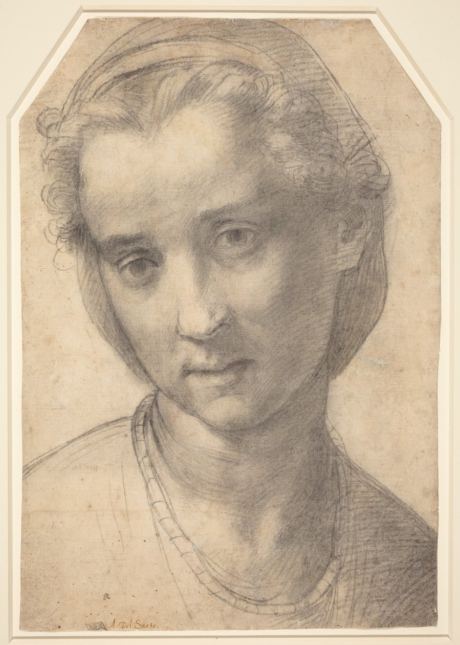 Głowa kobiety autorstwa Andrea del Sarto