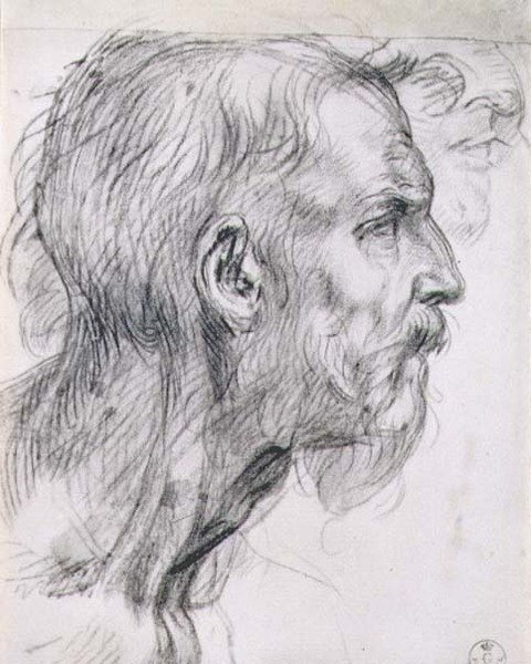 Głowa apostoła, studium do fresku „Ostatnia Wieczerza” w klasztorze San Salvi we Florencji, ok. 1520-25 (węgiel) autorstwa Andrea del Sarto
