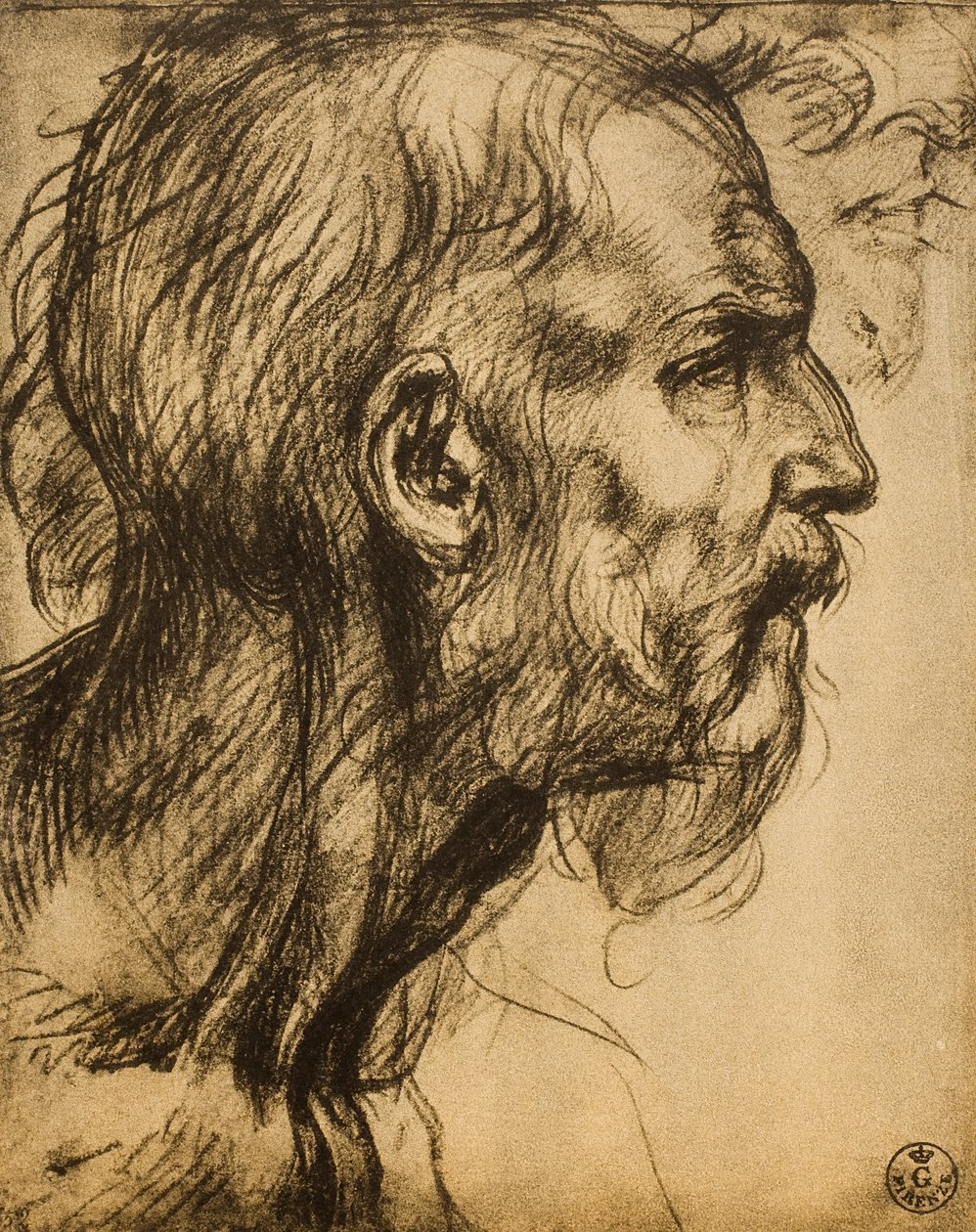 Głowa proroka Zachariasza autorstwa Andrea del Sarto
